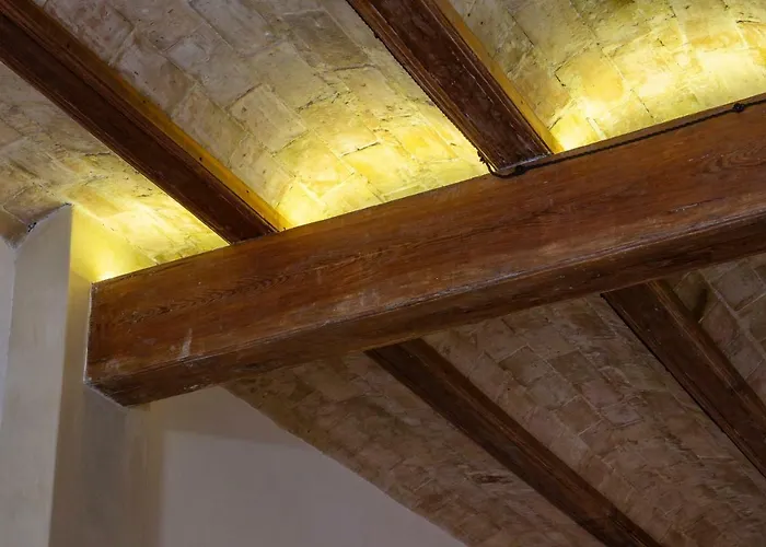 Natural Loft